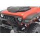 Load image into Gallery viewer, FTX OUTBACK MINI X FURY 1:18 TRAIL READY-TO-RUN RED FTX5525R