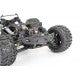 FTX TRACER 1/16 4WD MONSTER TRUCK RTR - BLUE FTX5576B